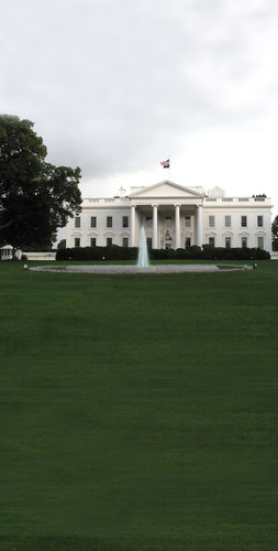 White House Lawn Backdrop