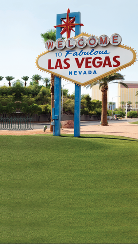 Fabulous Vegas Backdrop