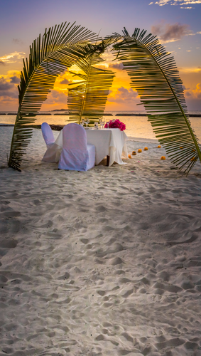 Romantic Beachside Backdrop