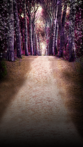 Purple Forest Path Backdrop