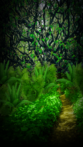 Overgrown Green Jungle Backdrop