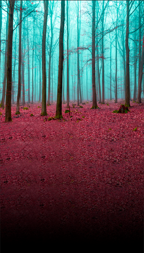 Eerie Turquoise Forest Backdrop