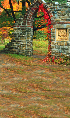 Autumn Relic Photography Backdrops