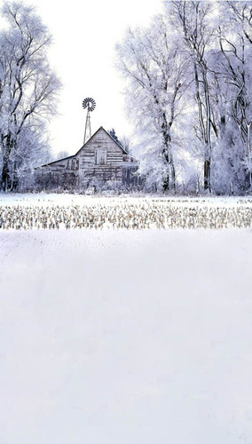 Snowy Barn Backdrop