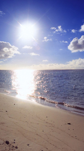 Seaside Shimmer Backdrop