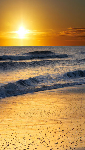 Sand and Sun Backdrop