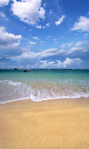 Sandy Beach Backdrop