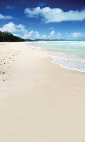 Sandy Getaway Backdrop
