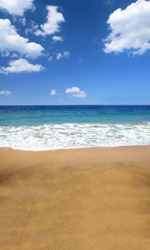 Seaside Rendevous Backdrop