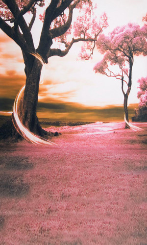 Rose Colored Dream Backdrop