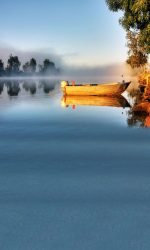 Morning Fishing Backdrop