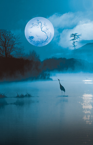 Misty Midnight Pond Backdrop