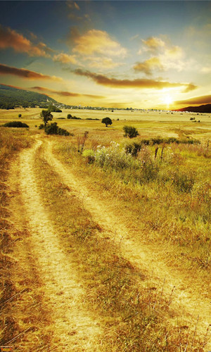 Pasture Road Backdrop