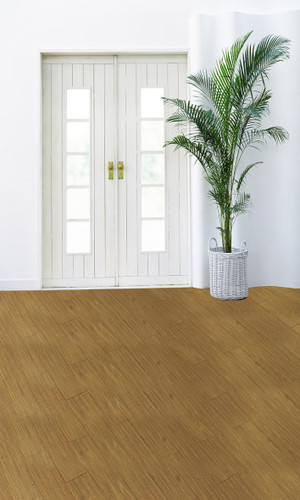 Bungalow Doors Backdrop