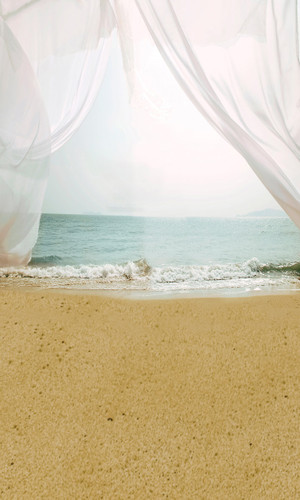 Beach Rendevous Backdrop