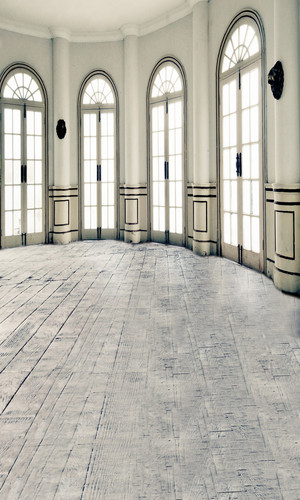 Oval Ballroom Backdrop
