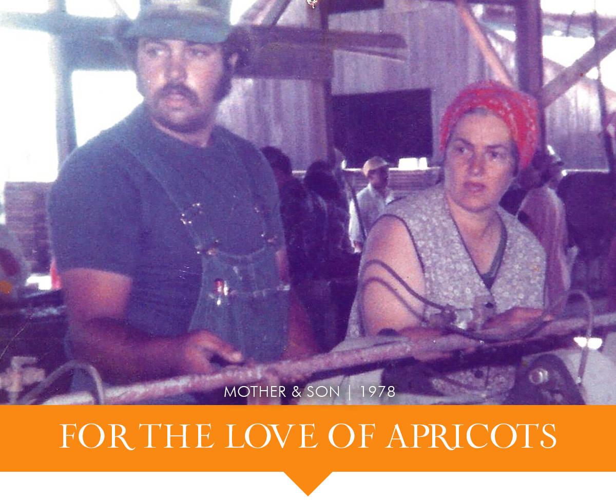 Blenheim Apricot Growers - Jim and Elsie Rossi