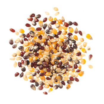 Gourmet Rainbow Popcorn Gourmet Rainbow Popcorn