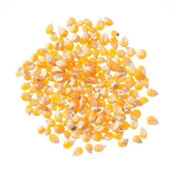 Extra Large Caramel Type Popcorn Extra Large Caramel Type Popcorn
