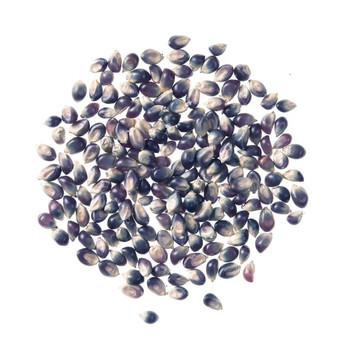 Gourmet Purple Popcorn Gourmet Purple Popcorn