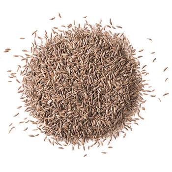 Caraway Seed Whole Caraway Seed Whole