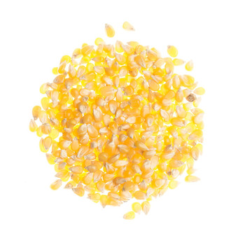 Tiny Sweet Popcorn Tiny Sweet Popcorn
