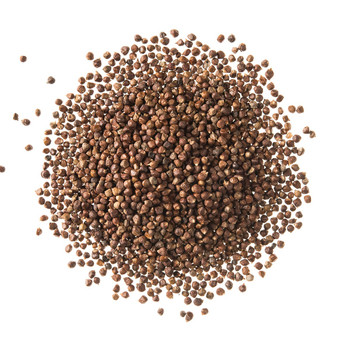 Grains of Paradise Grains of Paradise