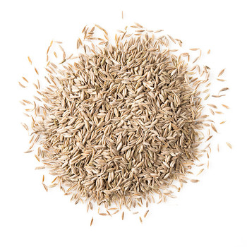 Cumin Seed - Whole Cumin Seed - Whole