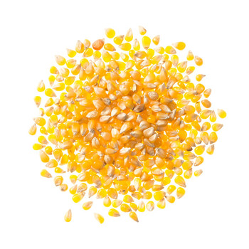 Ladyfinger Hulless Popcorn Ladyfinger Hulless Popcorn