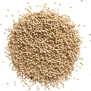 Mustard Seed Yellow - Whole Mustard Seed Yellow - Whole