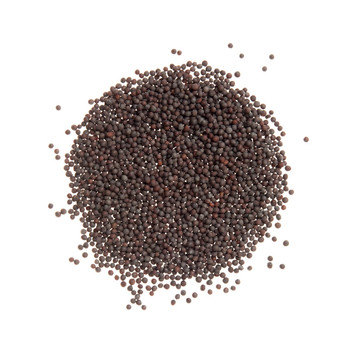 Black Mustard Seed - Whole Black Mustard Seed - Whole