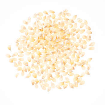 Gourmet White Hulless Popcorn Gourmet White Hulless Popcorn
