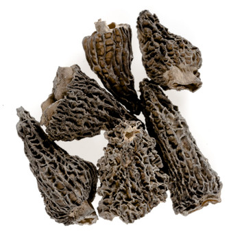 Dried Morel Mushrooms Dried Morel Mushrooms