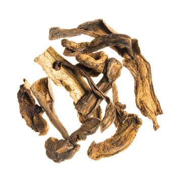 Porcini Mushrooms Porcini Mushrooms