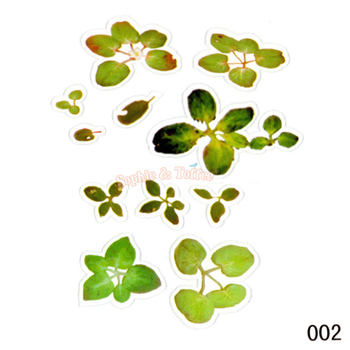 Small Green Leaves Koi Pond Clear 3D Film (3 pieces) Small Green Leaves Koi Pond Clear 3D Film (3 pieces)