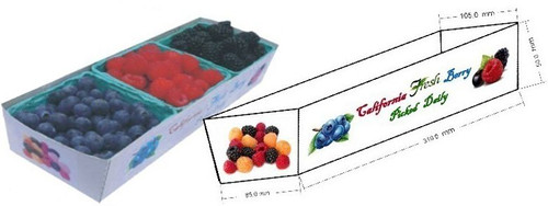 Berry Tray 3-Pack 250 Pieces Berry Tray 3-Pack 250 Pieces