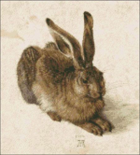 A Young Hare