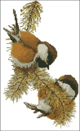 Chestnut Backed Chikadees
