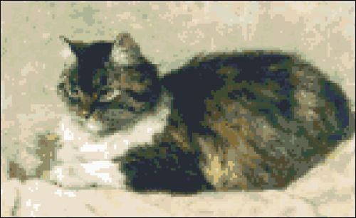 Cat Purring Contently
