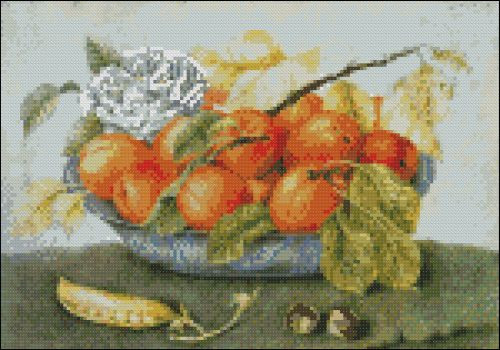 Rose and Apricots