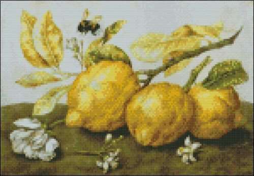 Three Lemons with a Bee