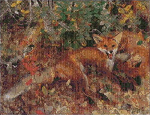 Foxes