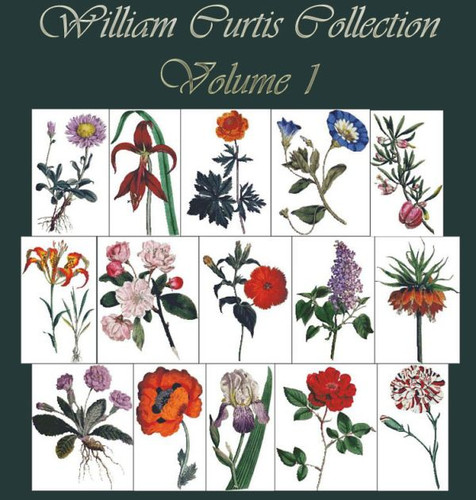 William Curtis Botanical Print Collection Volume 1