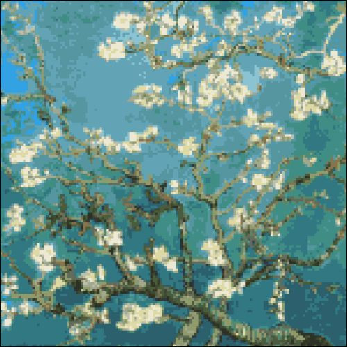 Almond Branch in Blossom