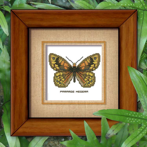 Butterfly Pattern 801