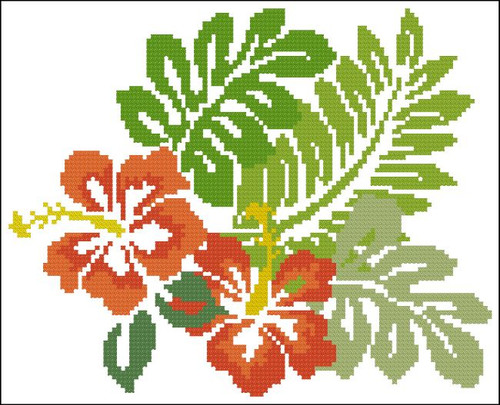 Hibiscus Tropical Orange