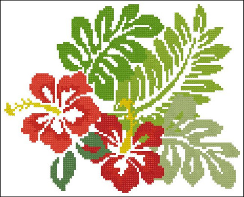 Hibiscus Tropical Red