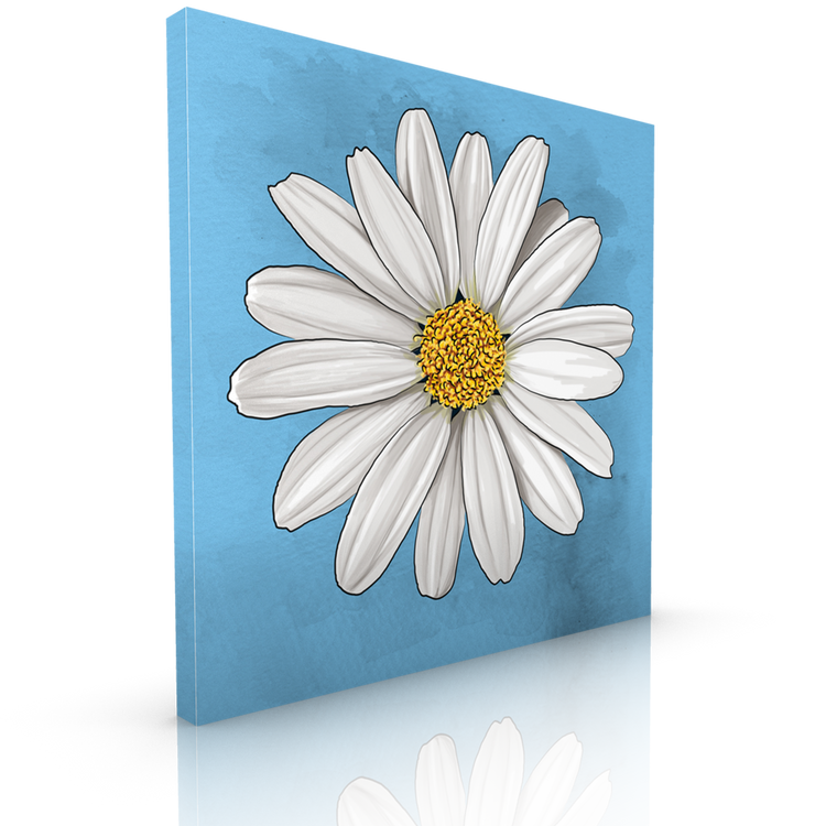 White Daisy