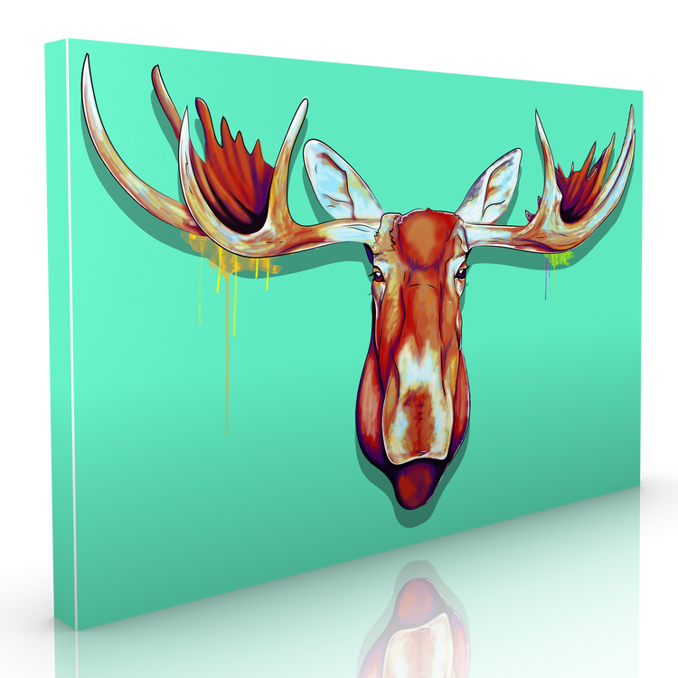 Moose Head