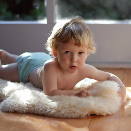 Baby Sheepskin Rug Long Wool Comforter From Tin Shed South Bowron Long Wool Lambskin Baby Comforter